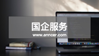 國企咨詢服務(wù)公司